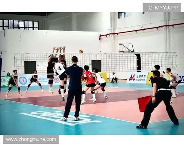 排球盛宴揭秘上海排球队的训练与竞技状态分析