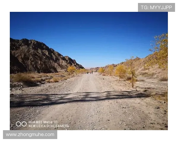 武汉极限运动队的转型之路探索与挑战的精彩旅程
