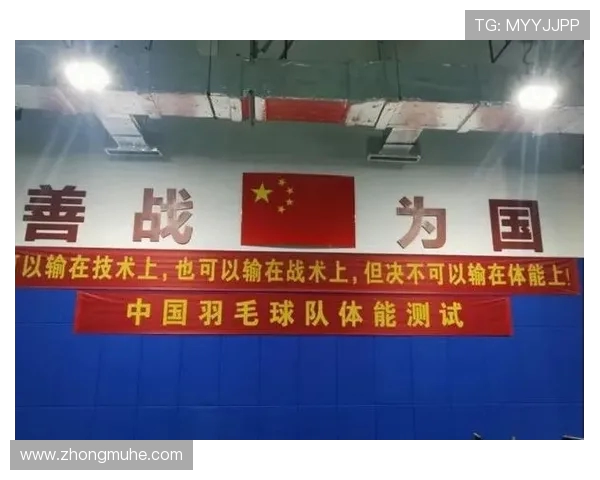 深圳羽毛球队反击之路：深度解析与战术创新的完美结合