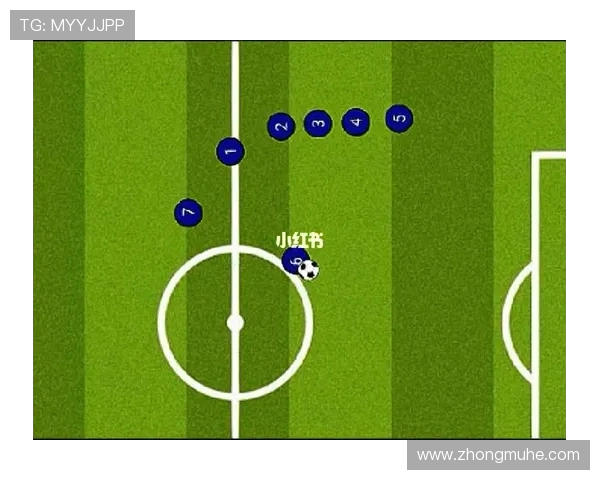 西安飞盘队的战术解析与控制能力探讨